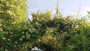 숙박 시설 입구