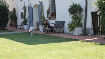 A courtyard with a dog, a bench, and potted plants.