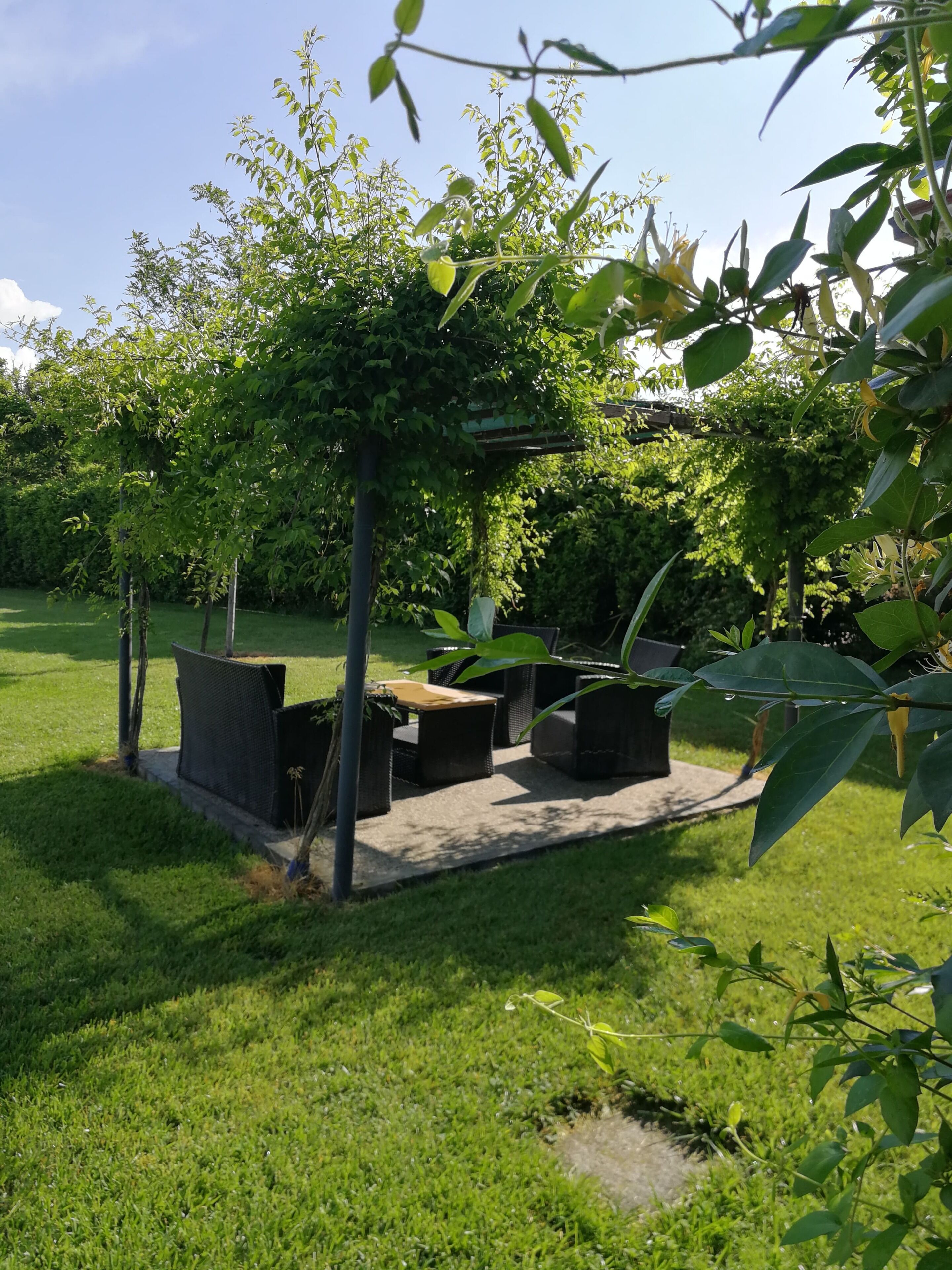 Giardino