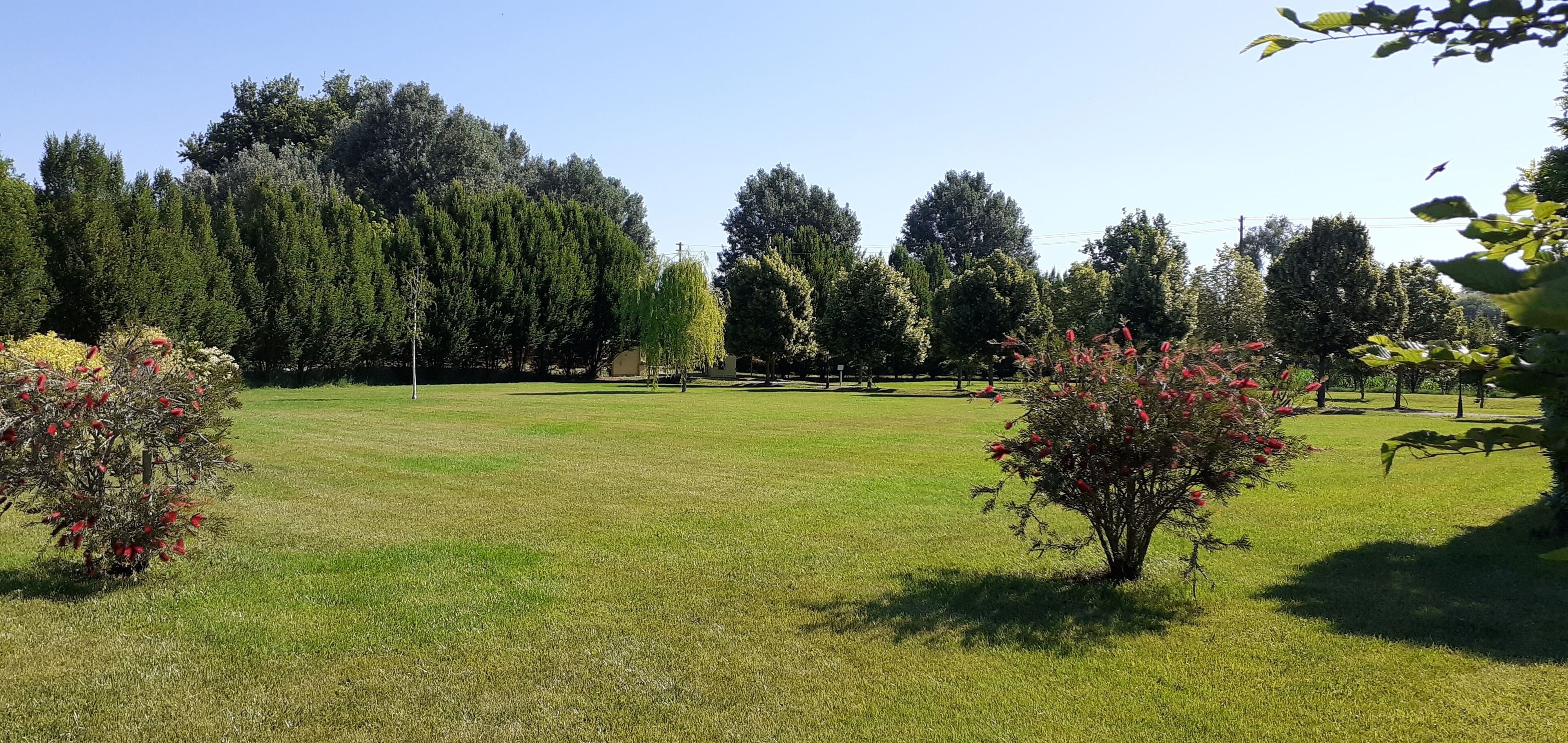 Ein Park mit einer grünen Wiese, Bäumen und blühenden Sträuchern.
