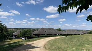 A rural setting with a dirt path leading to a row of thatched-roof cottages.