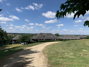 A rural setting with a dirt path leading to a row of thatched-roof cottages.