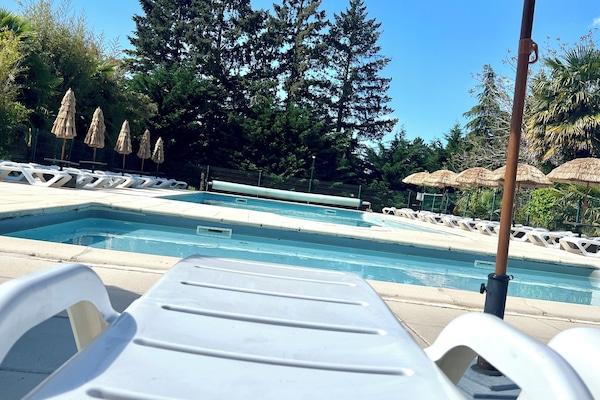 Een seizoensgebonden buitenzwembad, ligstoelen bij het zwembad