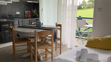 Appartement, 1 slaapkamer | Privékeuken | Een koelkast, een microgolfoven, een kookplaat