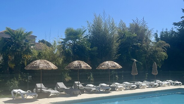 A poolside area with lounge chairs and thatched umbrellas, surrounded by a fence and greenery.
