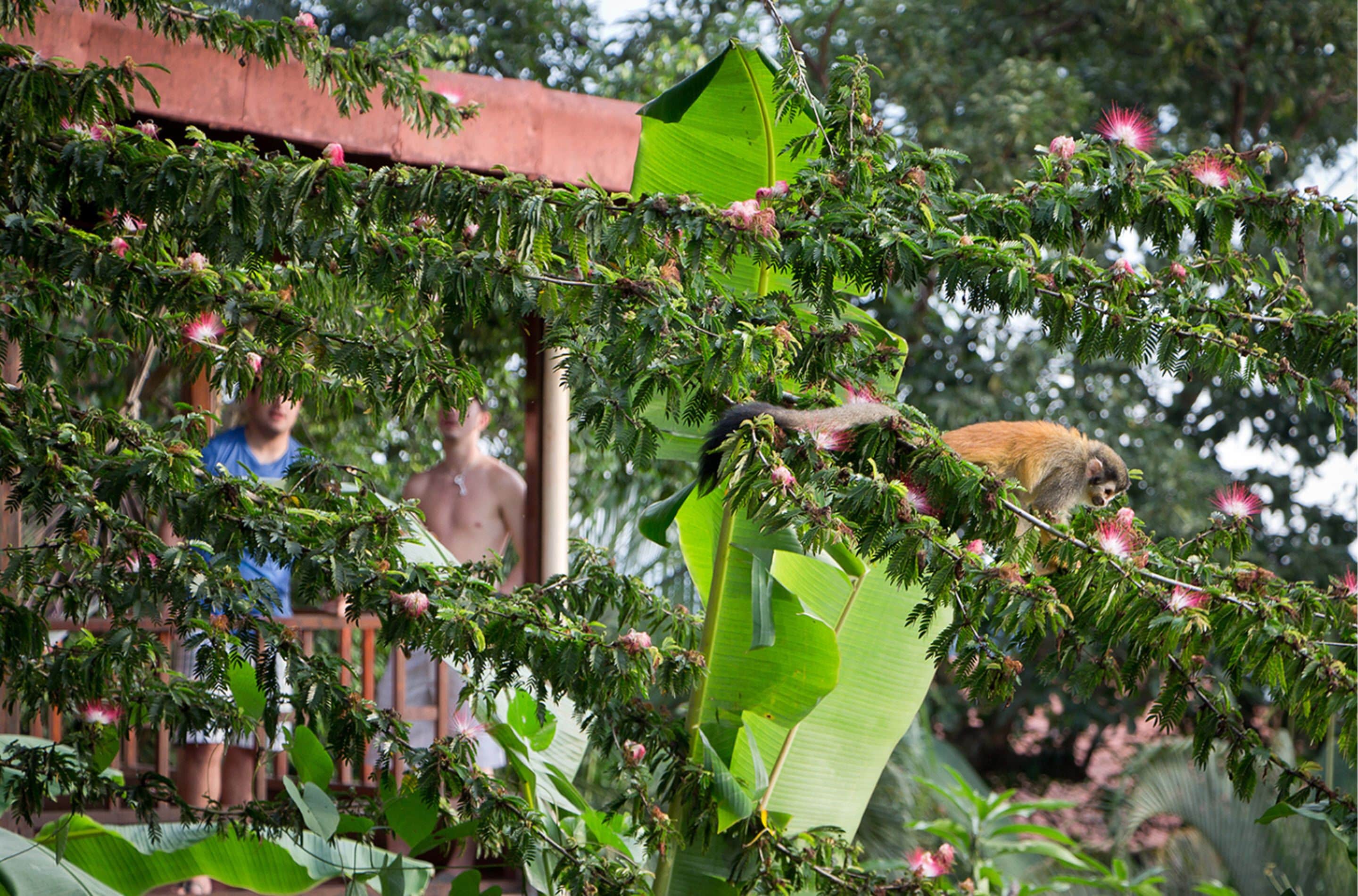 Foto - Hotel Villas Nicolas - Adults Only