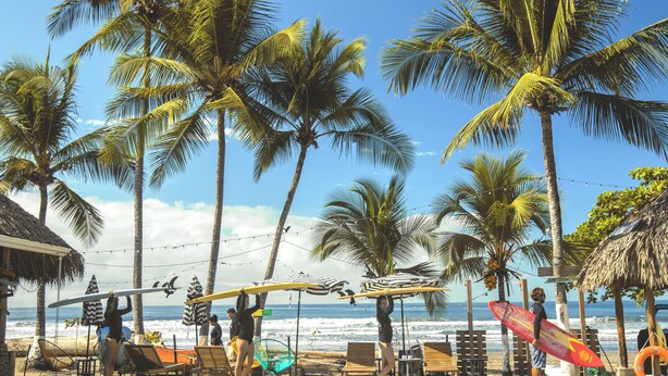 A beach with palm trees, beach chairs, and umbrellas.