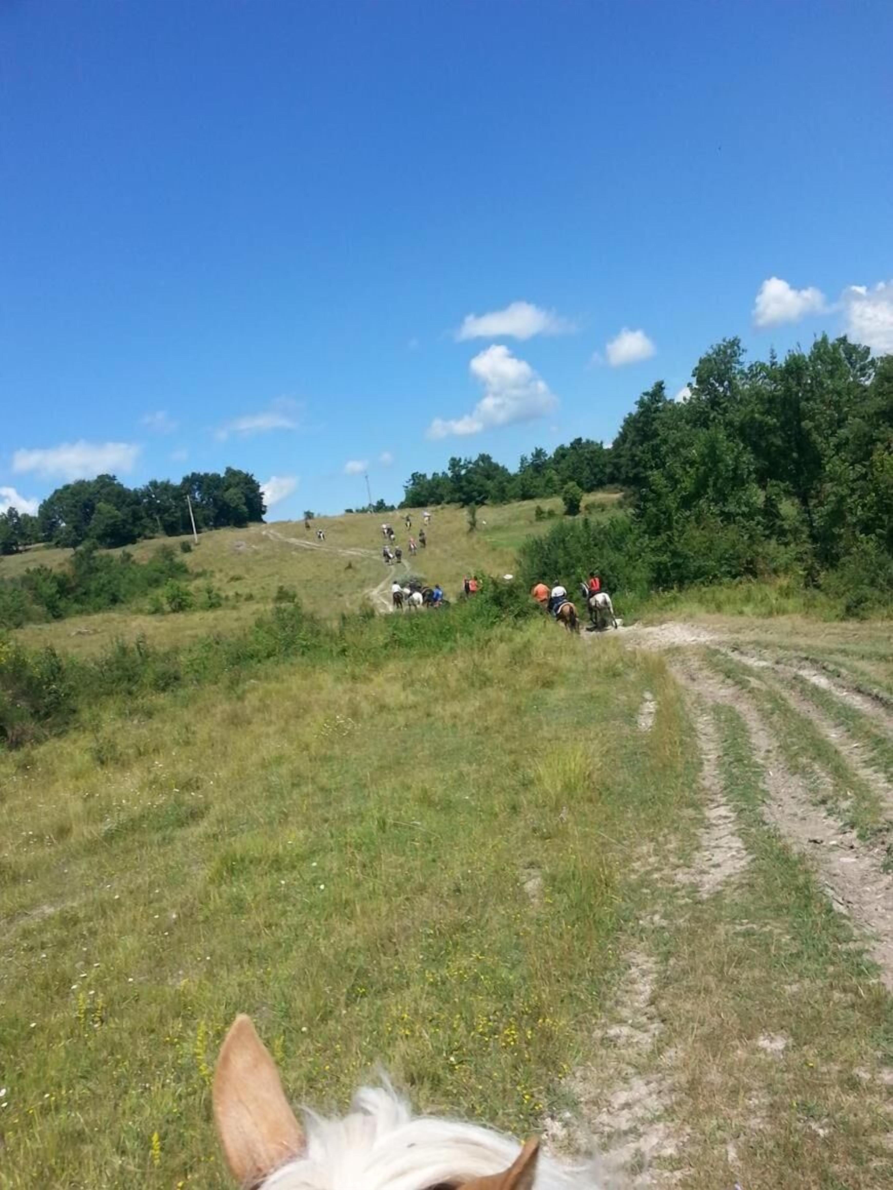 Un campo cubierto de hierba con un sendero de tierra que lleva a un grupo de personas y caballos.
