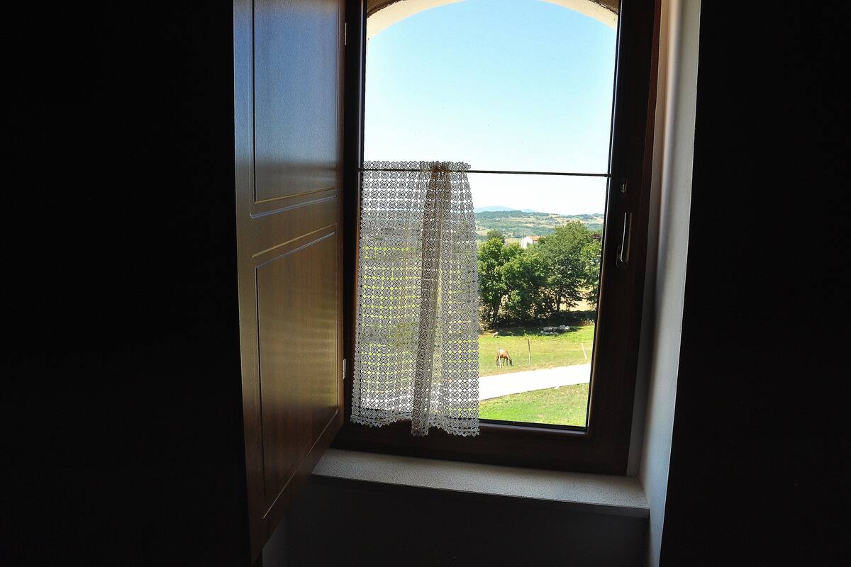 A window with a view of a grassy area and trees.
