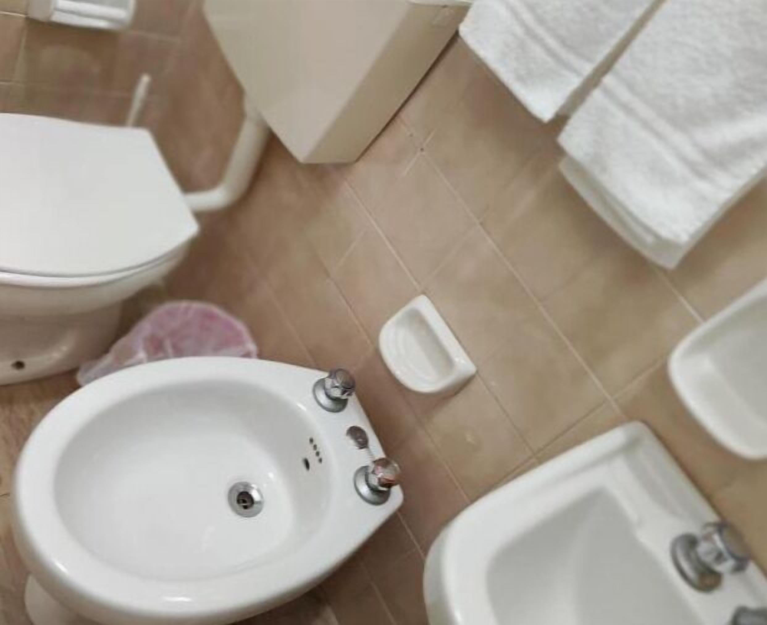Photo - Kristalex Pet Friends Hotel