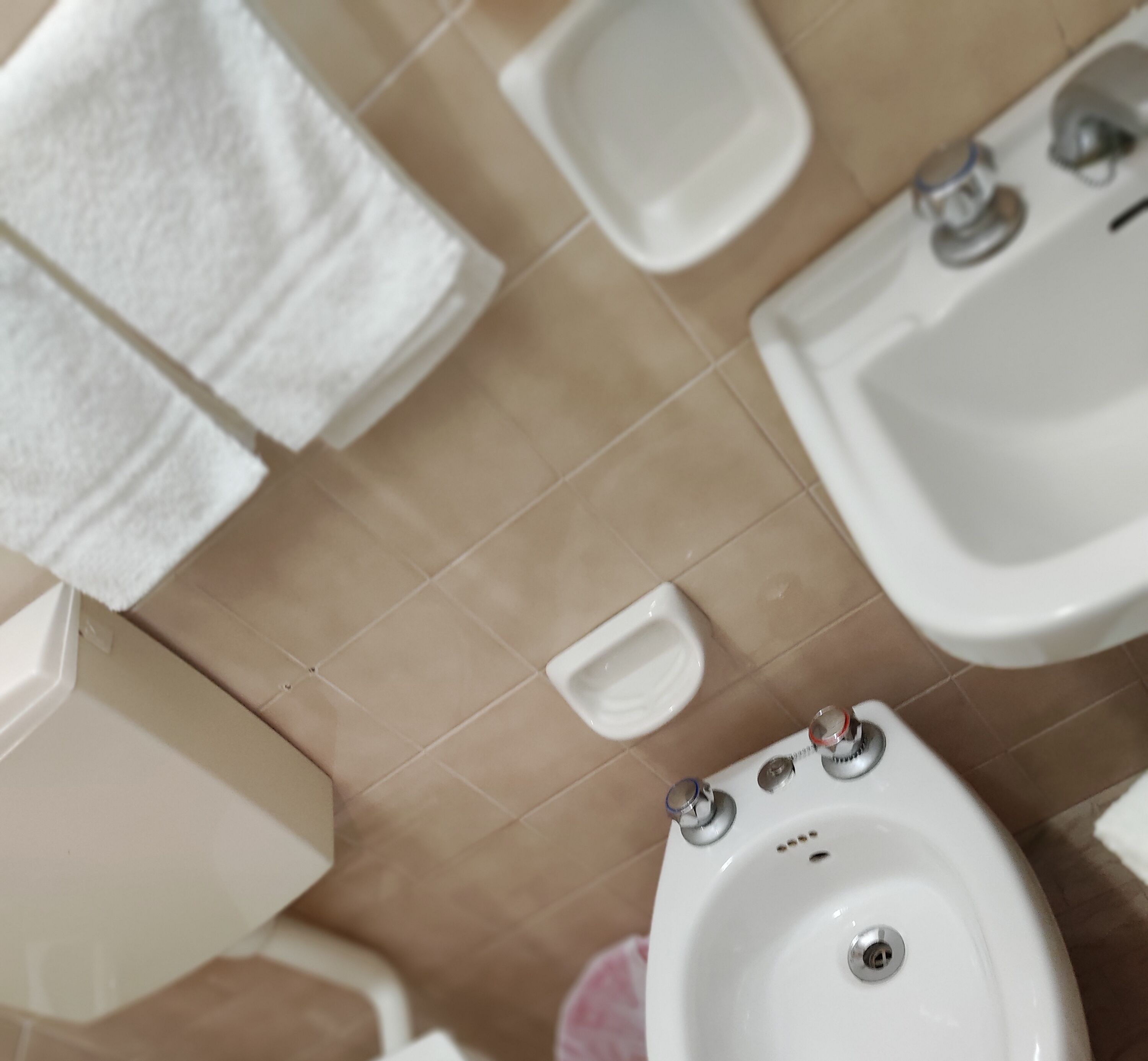 Foto - Kristalex Pet Family Hotel