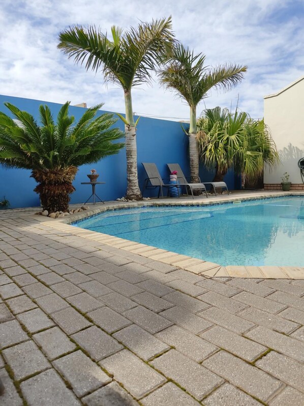 A swimming pool with lounge chairs and palm trees. - Palm Beach Guesthouse (Gqeberha (Port Elizabeth))
