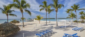 whala boca chica