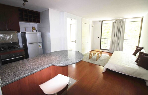 Standard Apartment, 1 King Bed with Sofa bed | Living area | 32-inch flat-screen TV with cable channels, TV - Studio Suite Padre Mariano (Santiago)