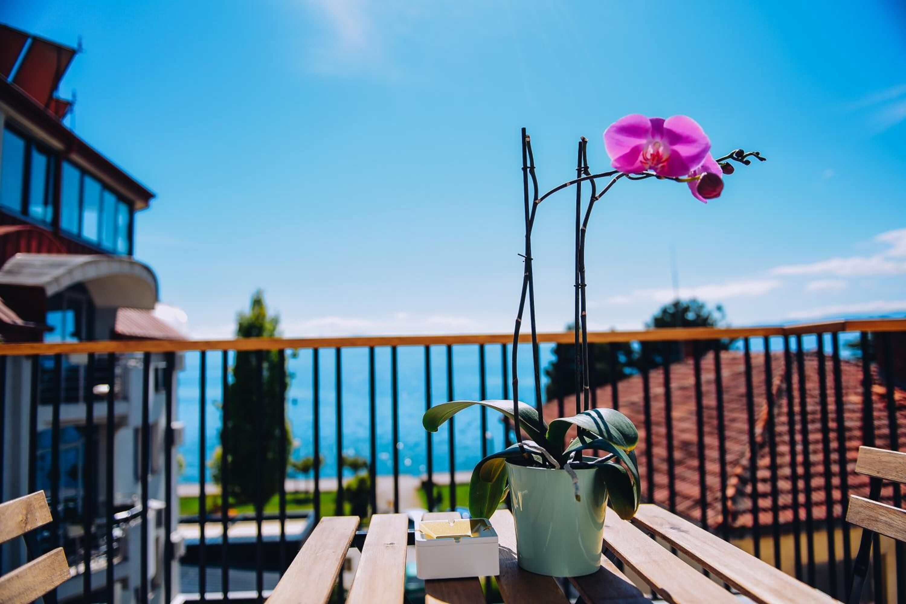 A balcony with a wooden bench, a potted plant, and a pink orchid.