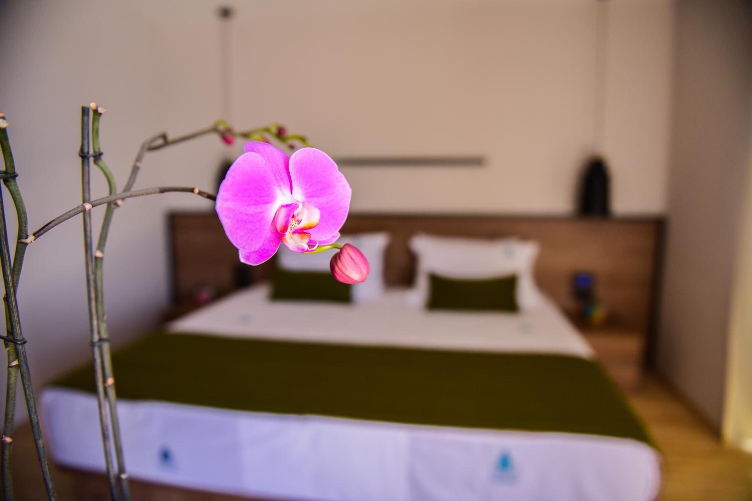 A hotel room with a bed, pillows, and a green bedspread.