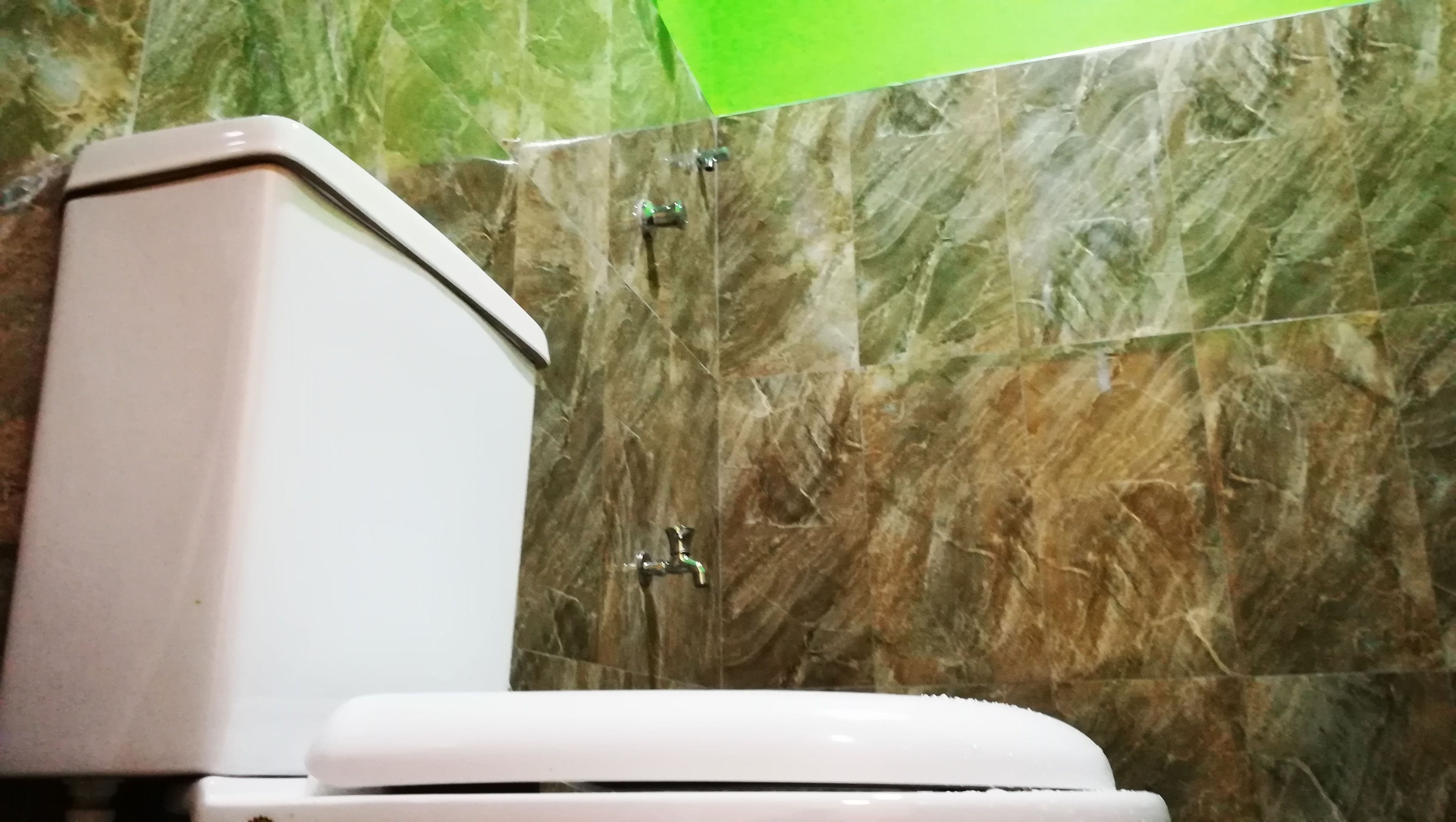 Bagno con servizi igienici, doccia e parete in marmo.