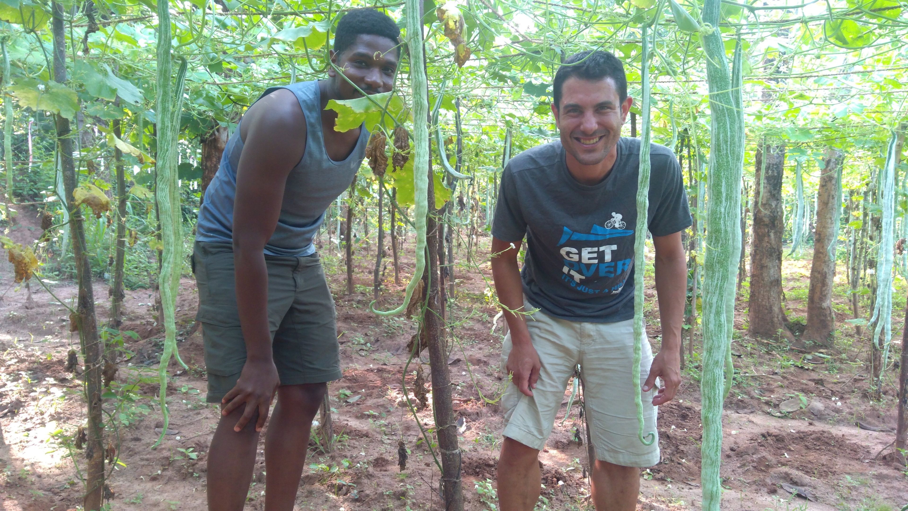 Two men standing in a garden with green plants and vines.