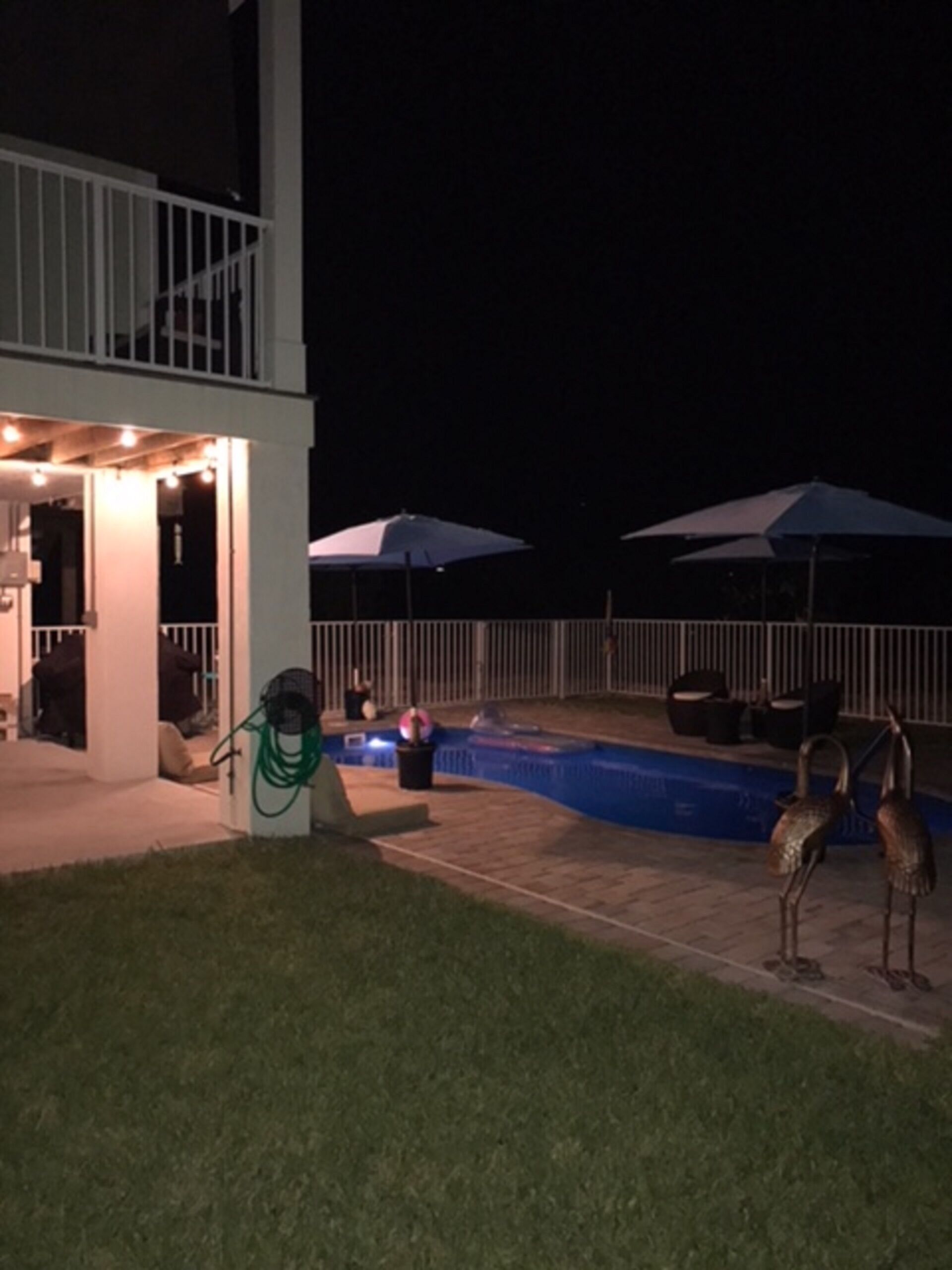 A backyard with a swimming pool, two umbrellas, and a bird sculpture.