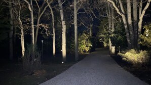 Uma passarela pavimentada ladeada por árvores e iluminada por postes de luz.