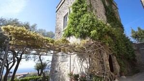 Un edificio de piedra con muros cubiertos de hiedra, una pérgola con plantas trepadoras y flores en macetas.