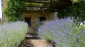 Un camí vora files de lavanda que condueix a un edifici de pedra rústic amb dues finestres i una pérgola de fusta a la part superior.