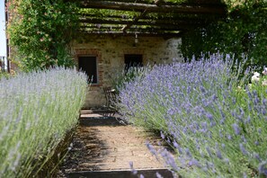 Exterior detail - Tuscan village in SIena. farmhouse surrounded by garden,pool and panoramic view (Asciano)
