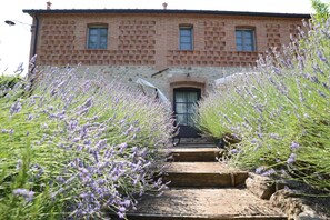 Exterior - Tuscan village in SIena. farmhouse surrounded by garden,pool and panoramic view (Asciano)