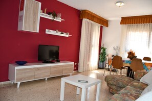 Televisie, een dvd-speler, boeken en een stereo