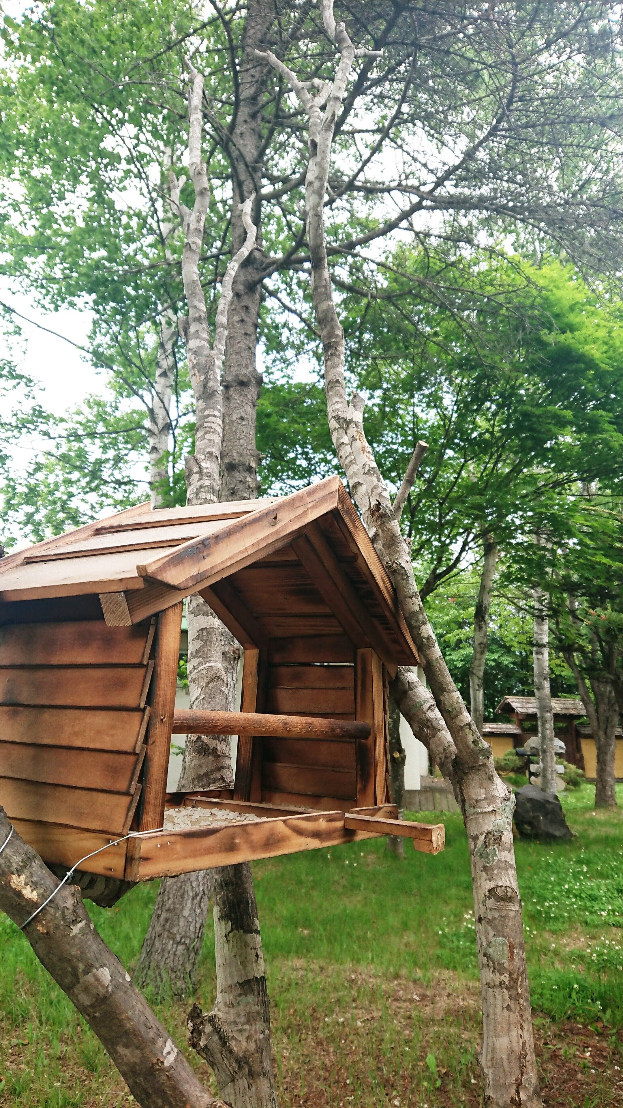 Un comedero de madera sujeto a un árbol.
