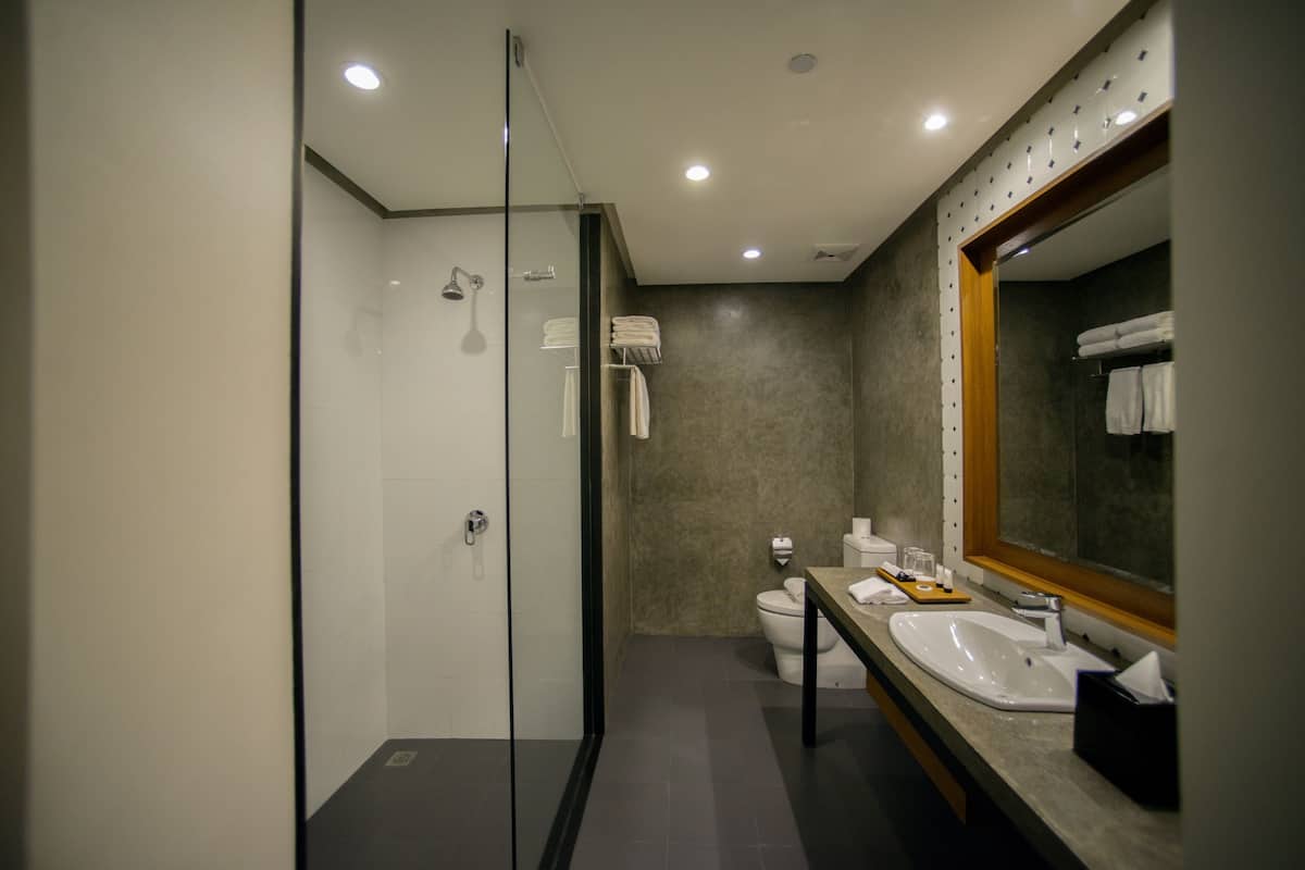 shower, free toiletries, hair dryer, slippers