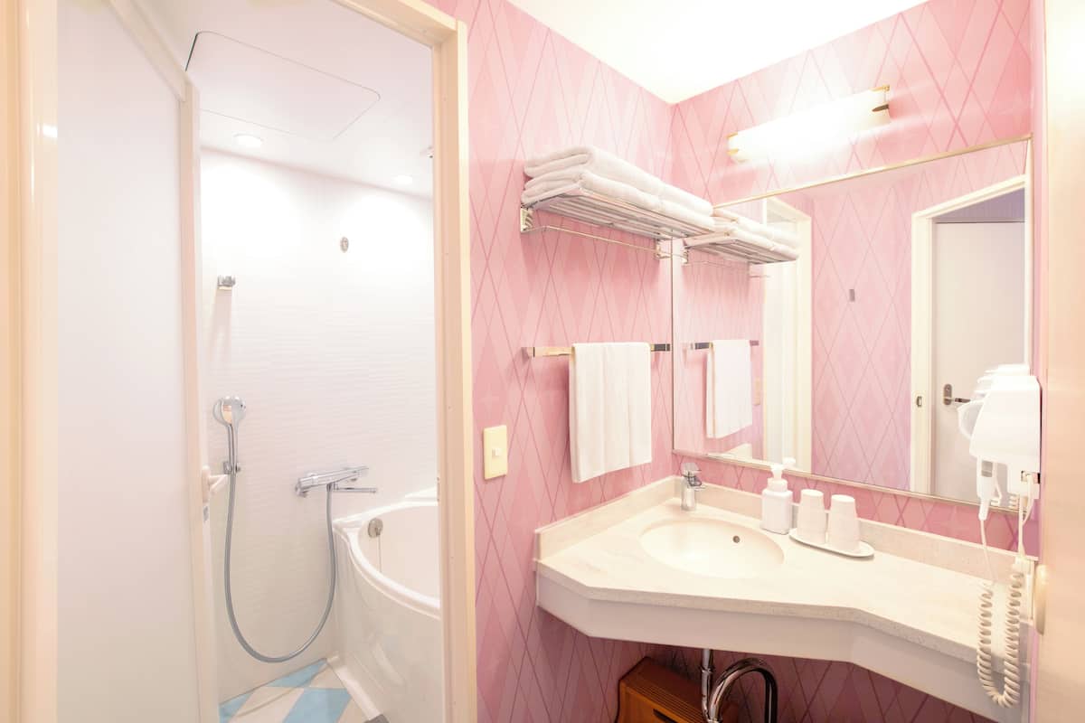 separate bathtub and shower, free toiletries, hair dryer, slippers