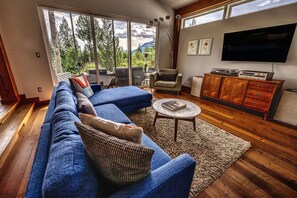 Smart TV, fireplace, DVD player, video library
