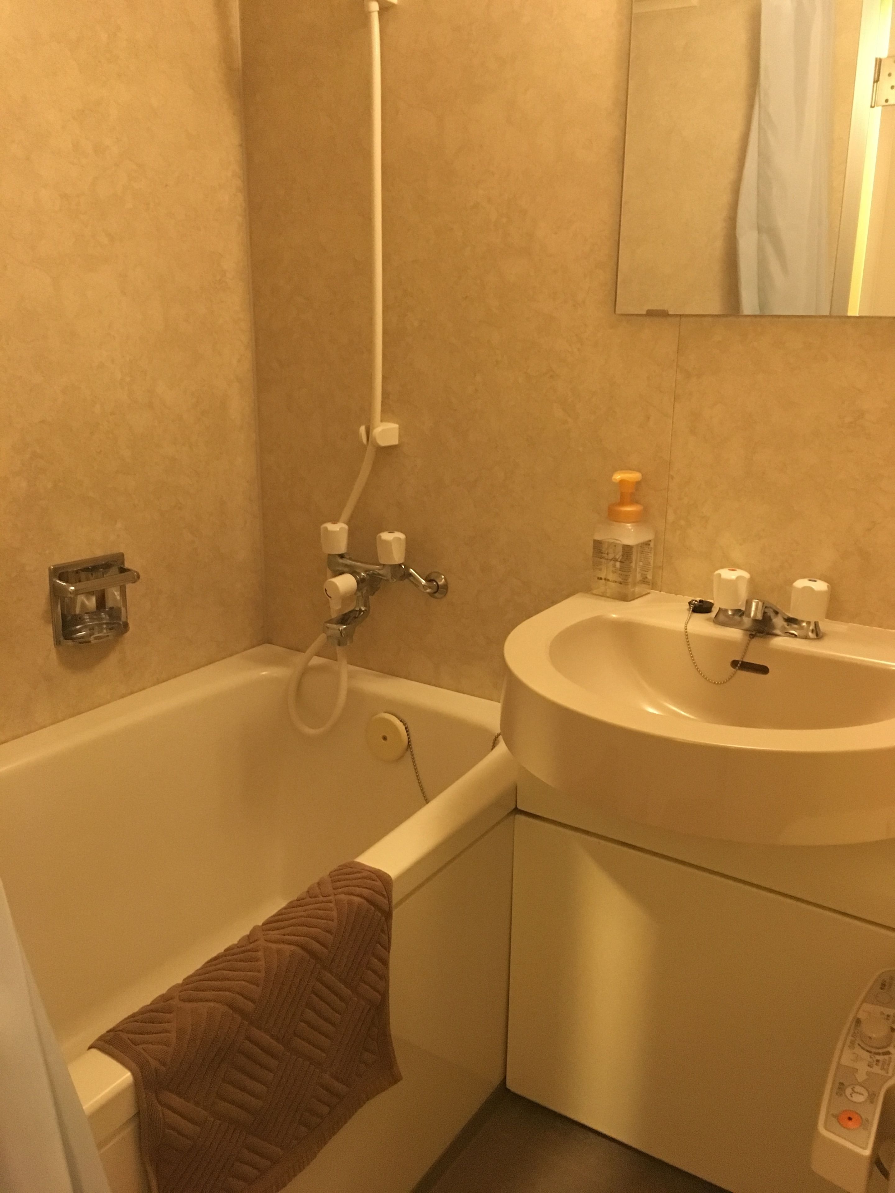 combined shower/bathtub, deep-soaking bathtub, free toiletries