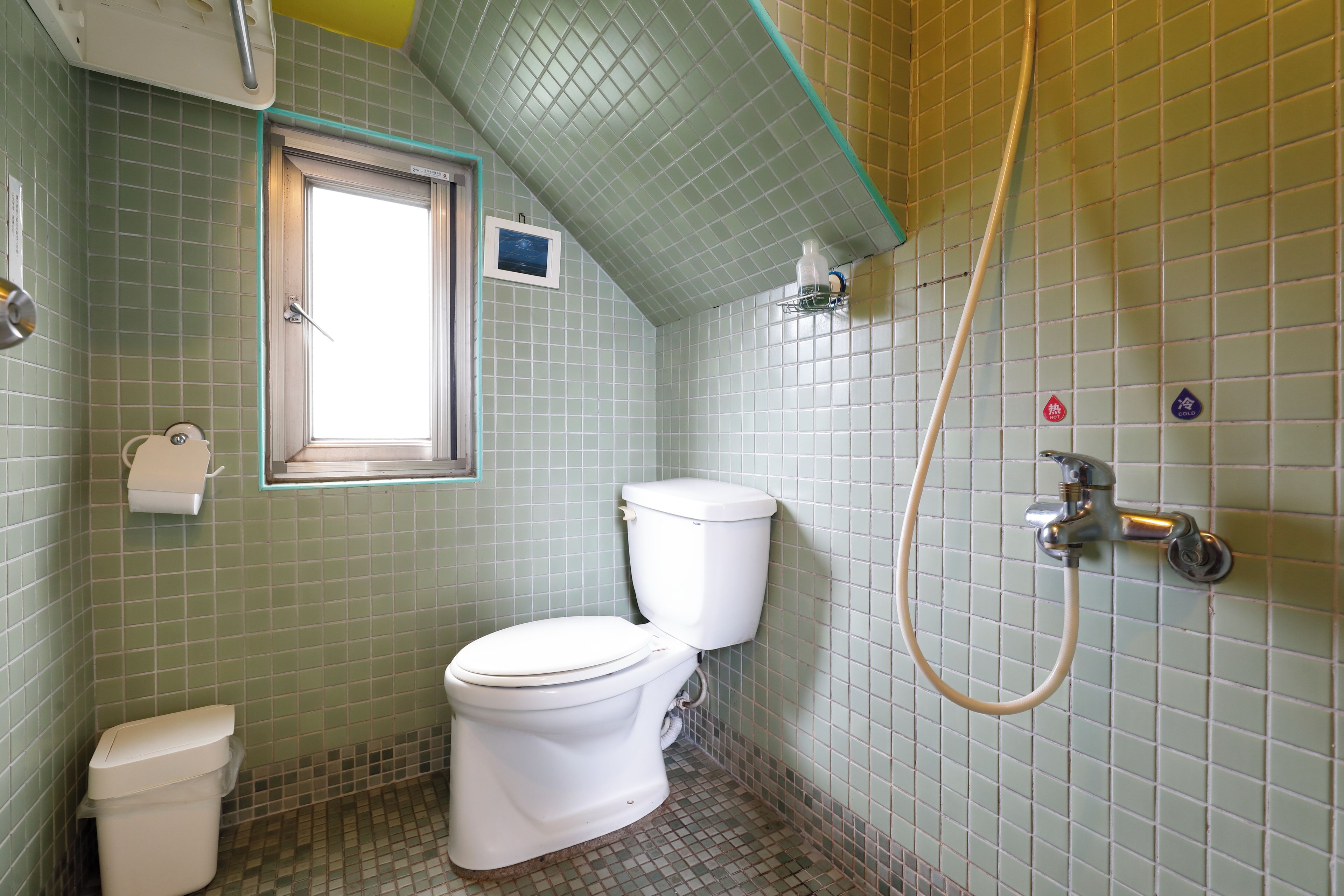 A small bathroom with a toilet, a shower, and a window.