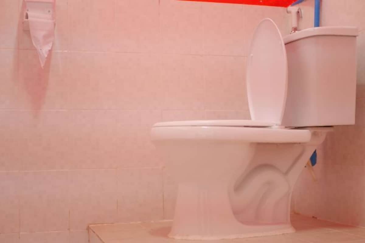 A toilet with a white seat and tank, a pink wall, and a blue pipe visible in the corner.