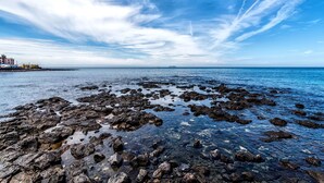 View from property - Navis Hotel (Jeju City)