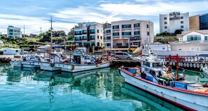 Marina - Navis Hotel (Jeju City)