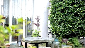 Una mesa de piedra con una olla de metal, rodeada de rocas grandes y plantas en macetas en un jardín con un edificio blanco al fondo.