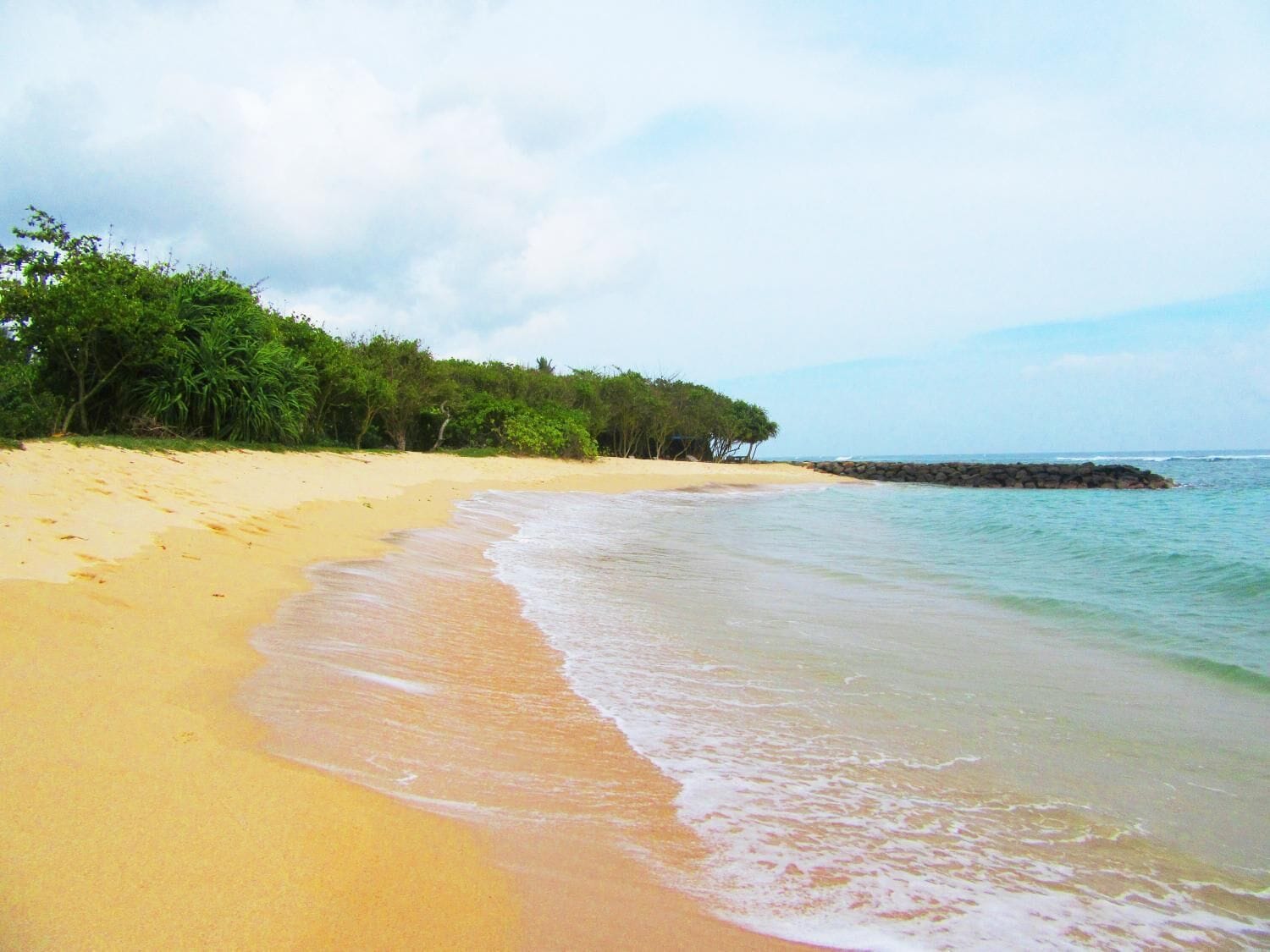 A beach with clear water, sandy shore, and dense green foliage.