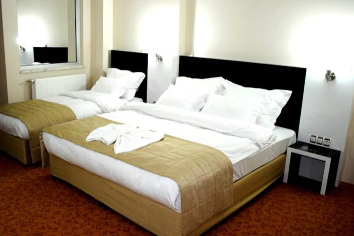Standard Triple Room | Minibar, desk, soundproofing, iron/ironing board