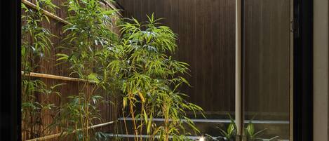 A traditional Japanese garden with bamboo, rocks, and moss.