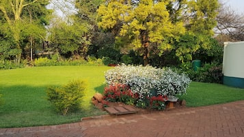 Vista desde la propiedad
