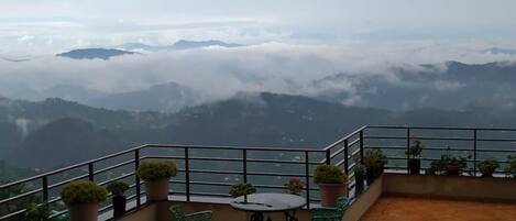 供应早餐、午餐和晚餐,国际美食,花园景观