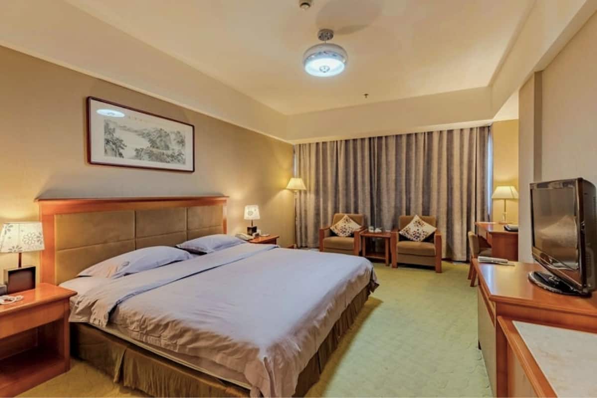 Una habitación de hotel con una cama grande, un escritorio con televisor y una silla.