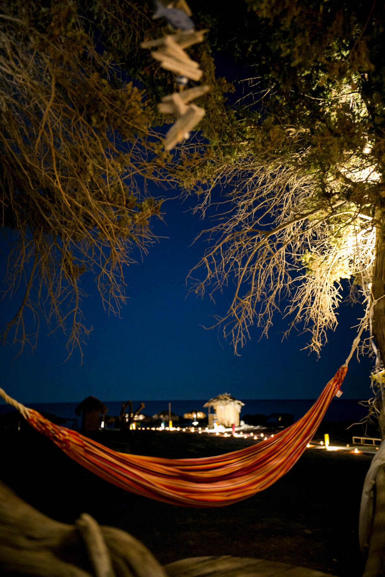 A hammock under a tree with a view of the ocean and a distant building.