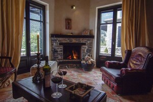 华丽别墅 (1 bath) | 起居区 | 电视、壁炉