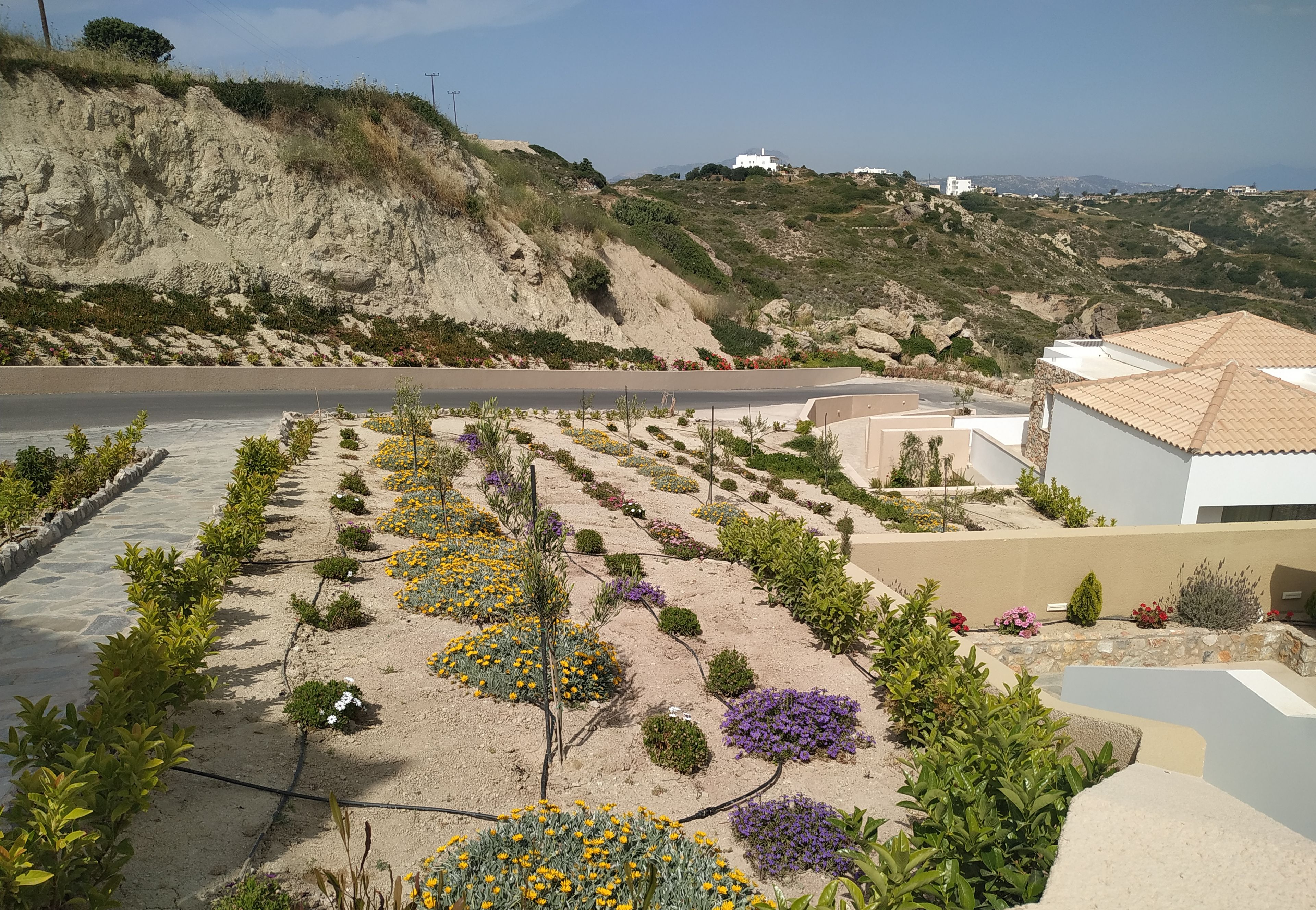 A landscaped garden with a variety of plants and flowers, a paved pathway, and a hillside in the background.