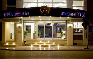 The exterior of a hotel with a prominent entrance, glass doors, and potted plants.
