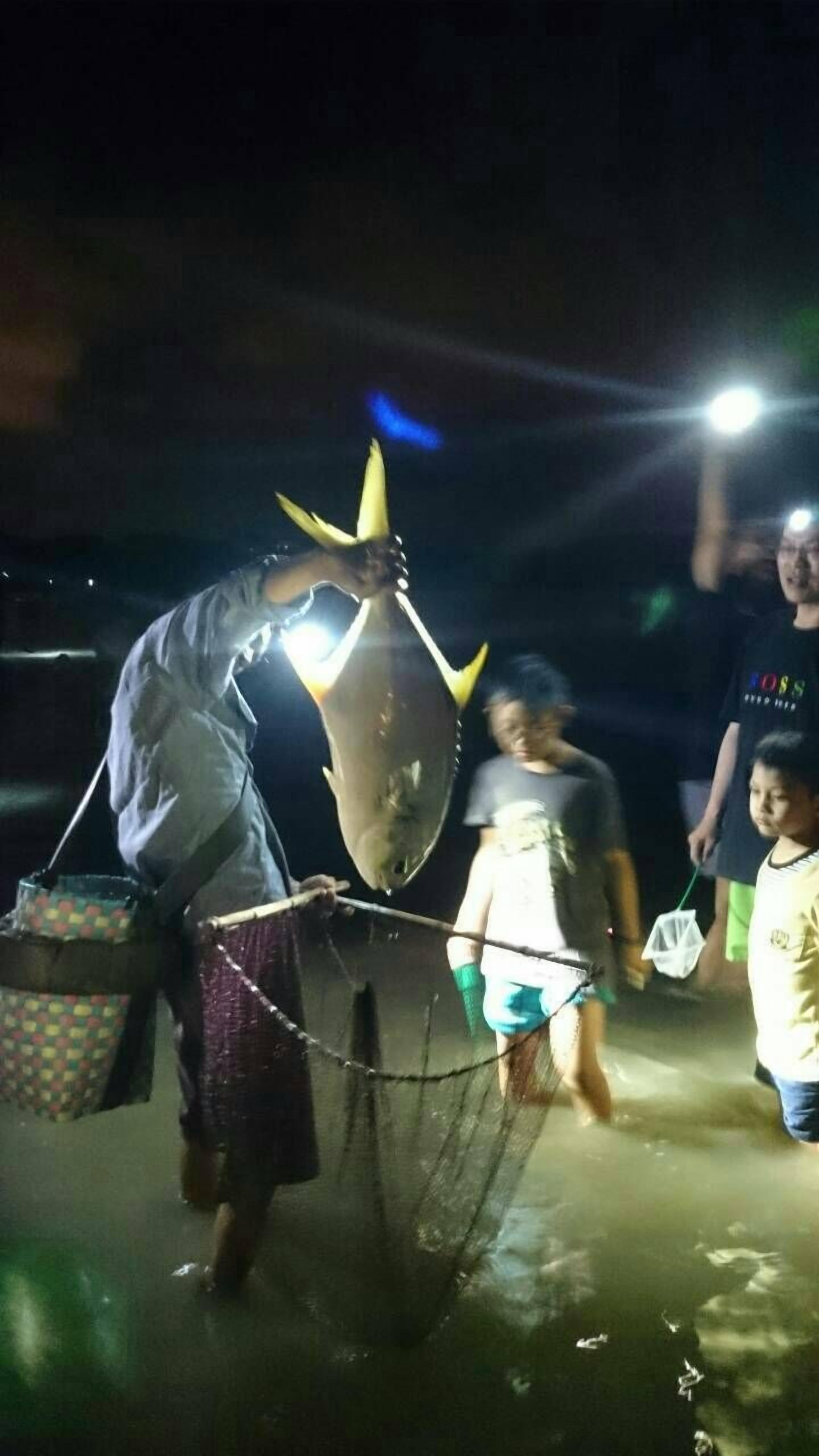 A person handling a large fish with a net, possibly for sale, in a nighttime outdoor setting.